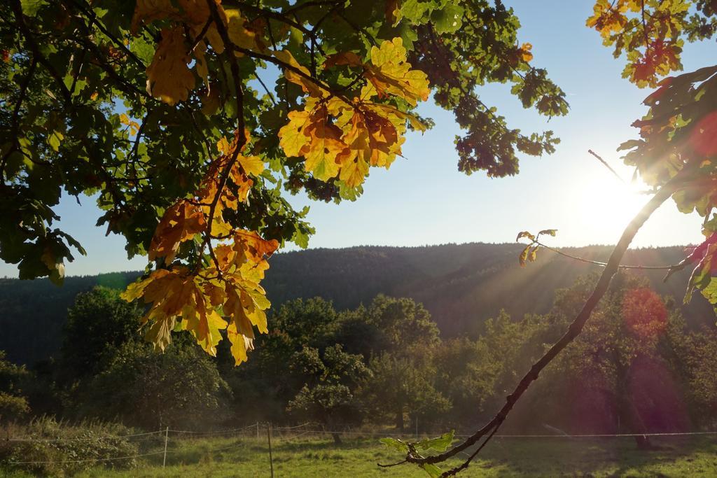 Naturhotel Ruegers Forstgut Mespelbrunn Esterno foto